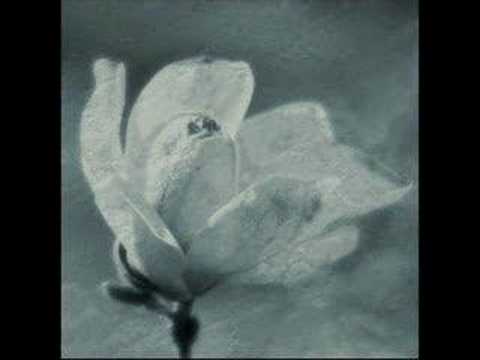 Rima LIII | artà 2 bachiller insti