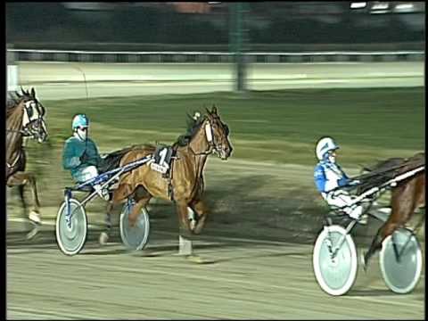 Trotto 10/01/2017 - 7ª corsa