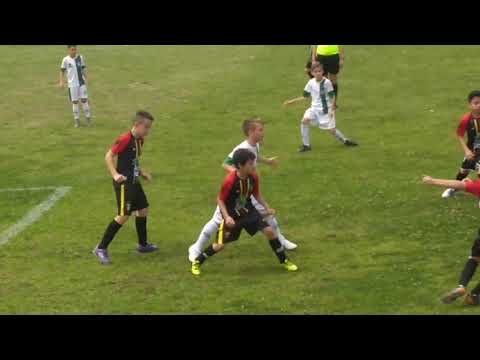 COXA TUPINIQUIM 3 X 1 AFFA ARAUCÁRIA