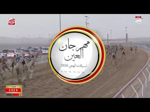 ش 2 (زاغور) لـ نايل راشد بن سيف النايلي الشامسي 4:29:98 ، مهرجان العين 2026/08/03 حقايق الروضة