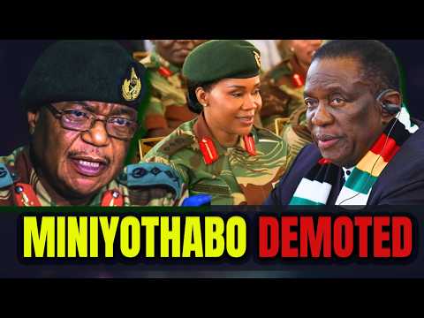 VP Chiwenga Fired? Zimbabwe Political Storm After Explosive Claims