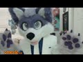 Packgod Vs Omegle Furry