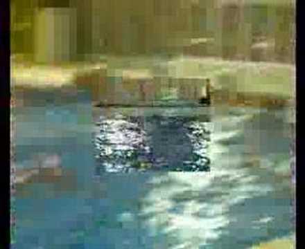 Getxo I.W 3 - E.H.U Askartza 11 . 14 /03 / 2008