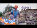 Blippi Learns About Penguins At The Zoo Kids Fun Educational Cartoons Moonbug Play And Learn