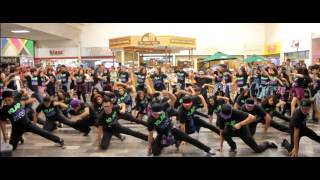 Timbaland &quot;Hands in the air&quot; México´s Flash Mob