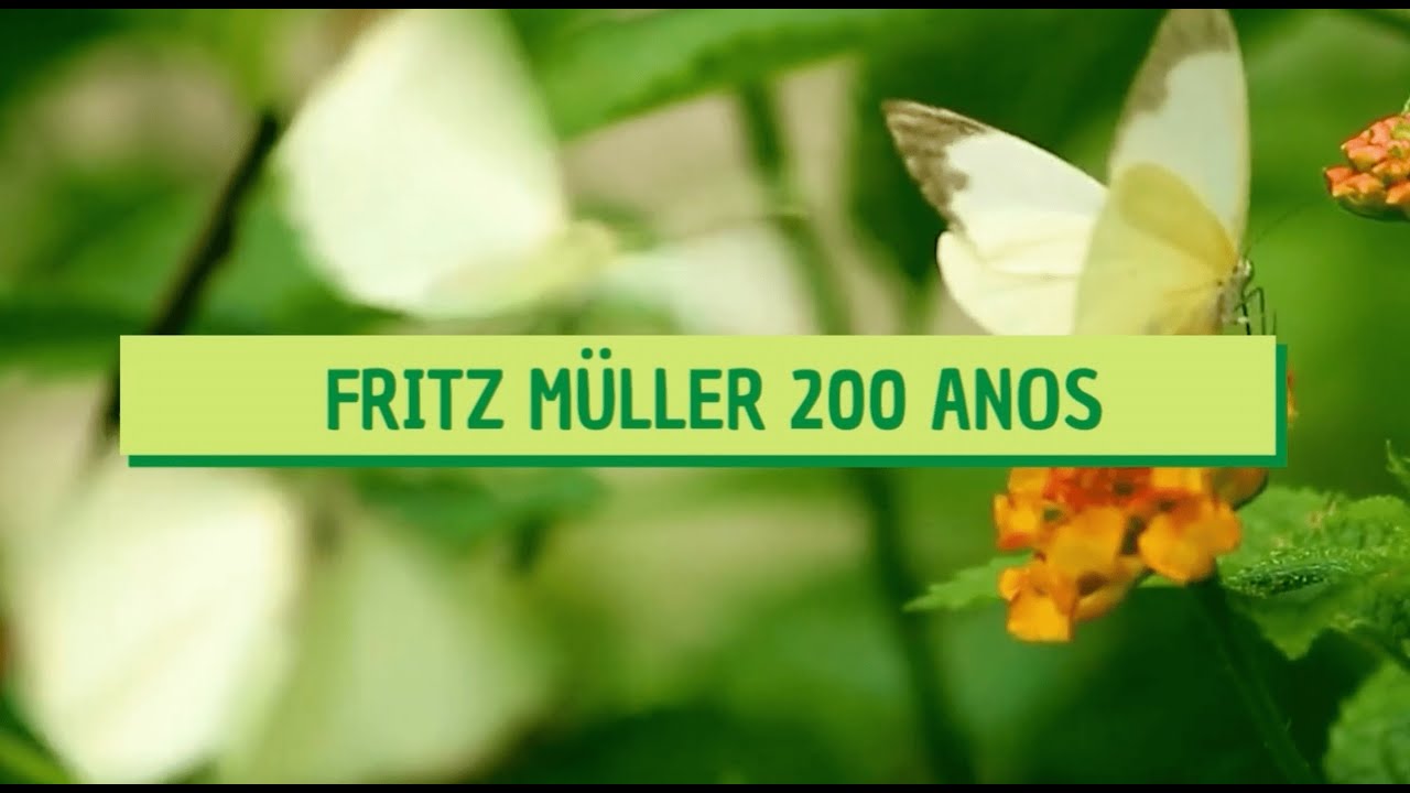 200 anos: Fritz Müller