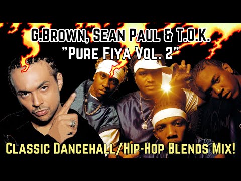 Old School Ragga Dancehall & Hip-Hop Blends Mix! G.Brown, Sean Paul & TOK - Pure Fiya vol 2 - 2002