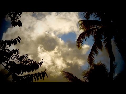 LOS NATAS - PARADISE