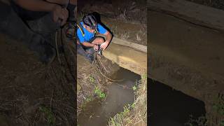 Download lagu Fishing under the bridge gutter!!! #fishing #haruan #shorts mp3