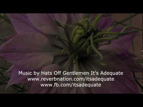 Muscle pathology case based tutorial 1