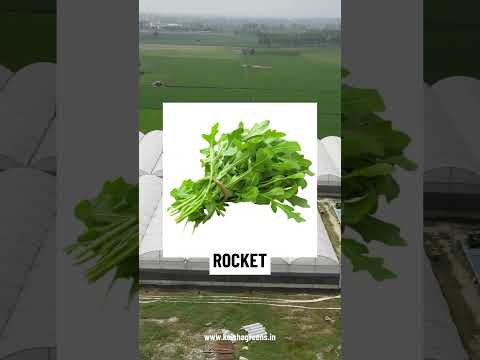 Video Gallery