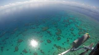 Get High Package with Down Under Cruise & Dive