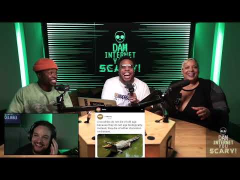 Paid To Have Roaches & Rappers Snitching on Themselves on DIYS w/Kanisha Buss and Denny Love