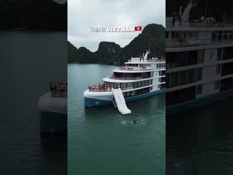 Vietnam Travel Guide 2024 🇻🇳 | Top Places to Visit on a Budget!