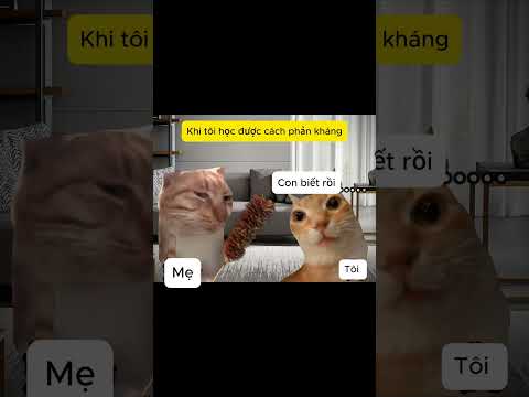 #funny #memes #haihuoc #catmeme #cat