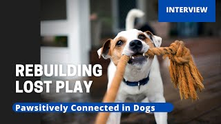 Rebuilding Lost Play