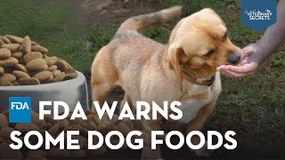 FDA Warns About Dog Food Linked to (DCM) Heart Disease