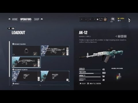 All my black ice weapon skin in one video!