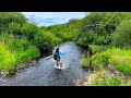Video Thumbnail for I Discovered the Holy Grail Stream for Monster Brown Trout