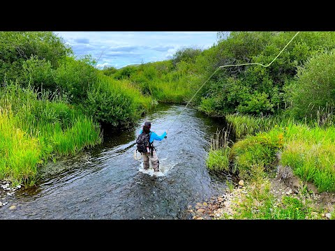 I Discovered the Holy Grail Stream for Monster Brown Trout