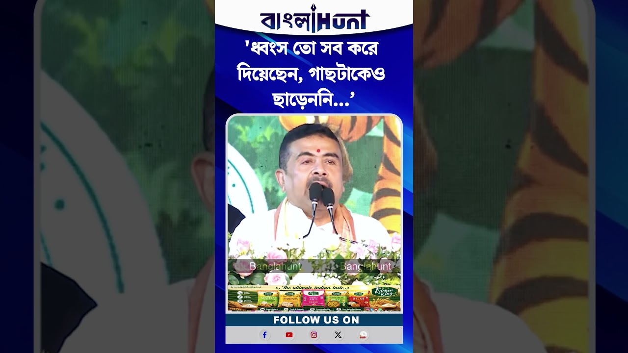 ধ্বংস তো সব করে দিয়েছেন, গাছটাকেও ছাড়েননি...’, Suvendu Adhikari-র নিশানায় Mamata!