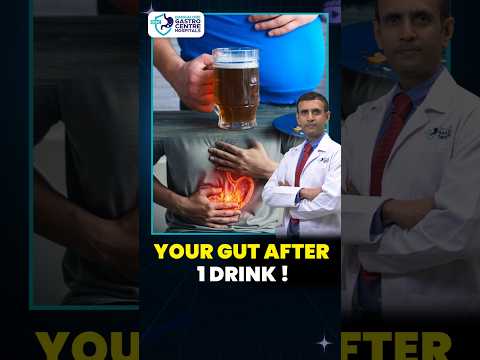 This Is Your Gut After Last Night! | Effects of drinking alcohol