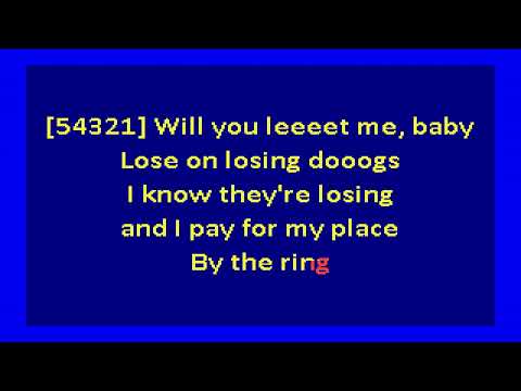 mitski - I bet on losing dogs (karaoke)