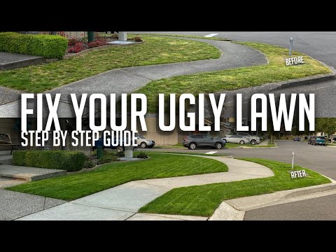FIX YOUR UGLY LAWN! Step by step guide with tools, products, and before and after pictures & videos!