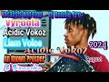 Best Of Vyroota Acidic Vokoz Liam Voice An Known Vyroota Non Stop 2024 Vocalist Dj Ronnie Pro