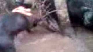 VID 00034-20100209-0953.3GP