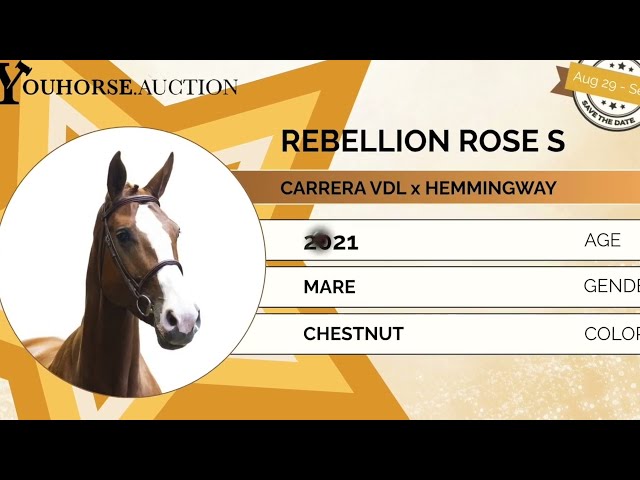 Rebellion Rose homevideo