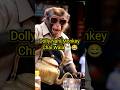 The Monkey That Makes Tea Monkey Funny Video Shorts Ai