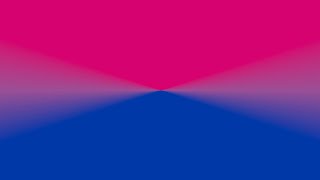 Bisexual Pride Flag Color Wheel - 10 Hours