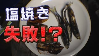 釣ったイワシを料理してみた
