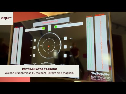 Wie sieht der Bildschirm eines Reitsimulators aus – und was kann man darauf alles erkennen?