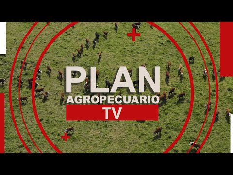 Programa del Plan Agropecuario del 20 de octubre de 2025