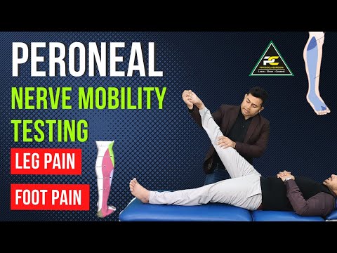 Conceptual Framework of Neurodynamics Treatment Approach The 3 Part System