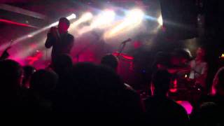 Mercury Rev &#39;Senses on Fire&#39; Cyprus Ave, Cork 17/5/11