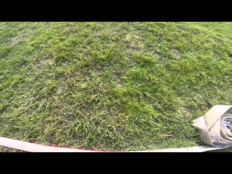 Pan béčkař Pawčák - 2 místo s PS12