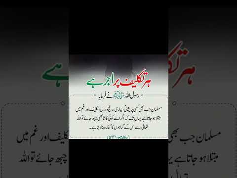 hr taqleef pr awab hi #motivation #shortsfeed #shorts#islamicstatus #whatsappstatus#100k#goldenwords
