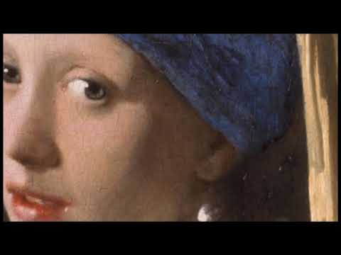 Den Haag Het Mauritshuis  Johannes Vermeer