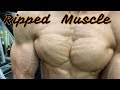 Ripped Muscle 6㎏ダイエット成功　ドライな筋肉！