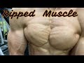 Ripped Muscle 6㎏ダイエット成功 ドライな筋肉!