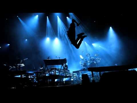 Everybody loves Linking park