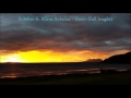 Schiller ft. Klauz Schulze - Zenit (full length)
