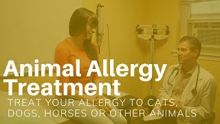 Pet Dander Allergy Treatment - No Shots!