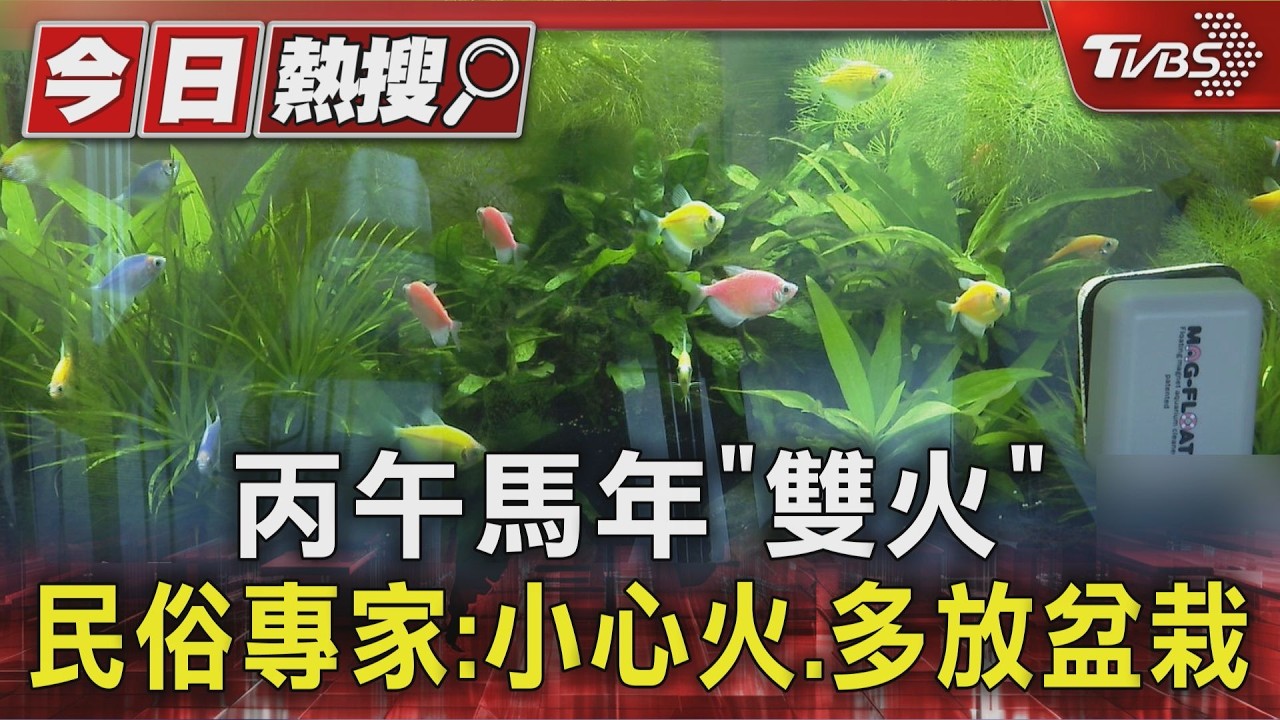影音/丙午雙火年到!民俗專家示警「少用紅色」春聯別亂貼、小心火源