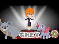 Grey Colour Song for kids | Learn Colours | Rhymes for Children | Bindi's Music & Rhymes