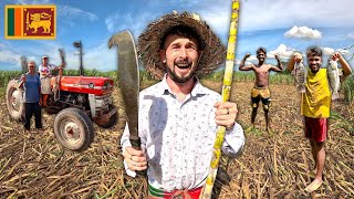 Travel vlog - This Sri Lankan Village Changed My Life FOREVER ๐ฑ๐ฐ