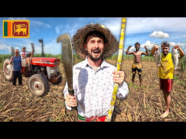 Travel vlog - This Sri Lankan Village Changed My Life FOREVER 🇱🇰